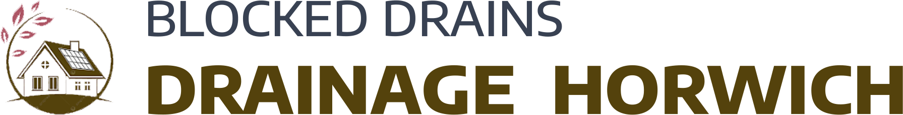 website logo